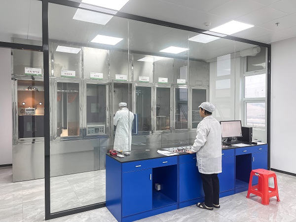 고분자 리튬이온전지 시험방법