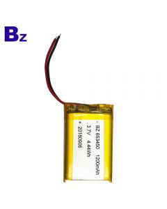 ODM 물 컵 수소 풍부한 컵 를위한 고품질 재충전 전지 BZ 653450 1200mah 3.7V Li 중합체 건전지