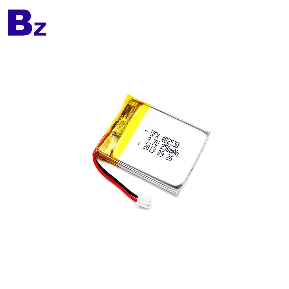 철사와 마개를 가진 250mAh Li 중합체 건전지