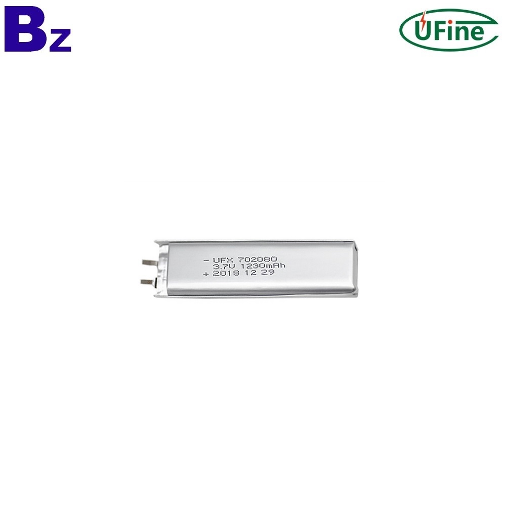 1230 mAh 3.7V 3C 디지털 장치 배터리